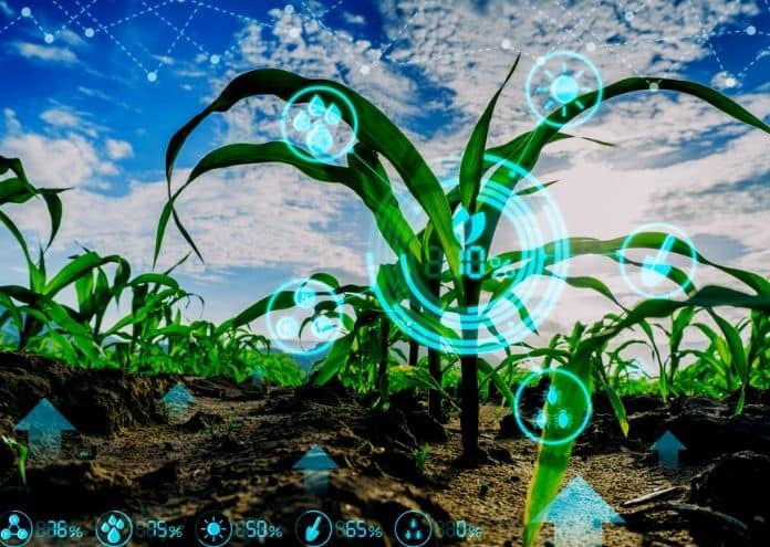 STPI launches open challenge program to promote innovative agritech