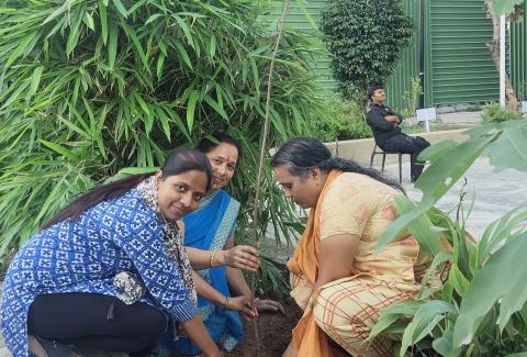 Swachhata  Special Campaign 3.0